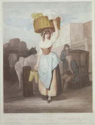 Fragole, Fragole Scarlatte, tavola 9 di 